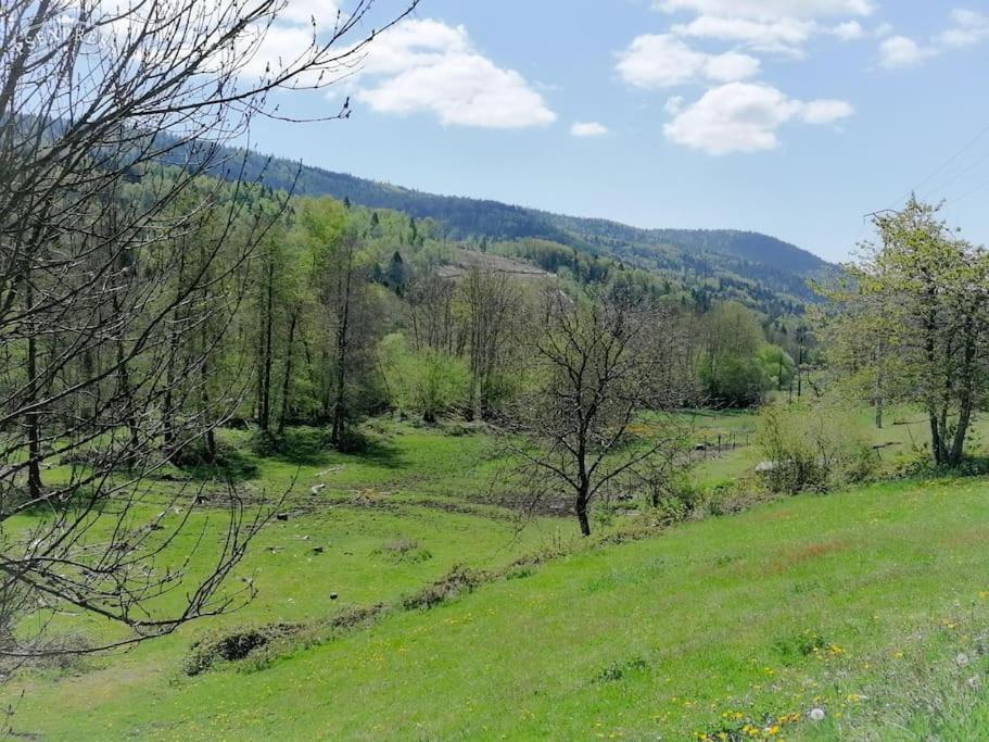 Ferme De Ma Grand-Mere Le Haut-du-Them エクステリア 写真